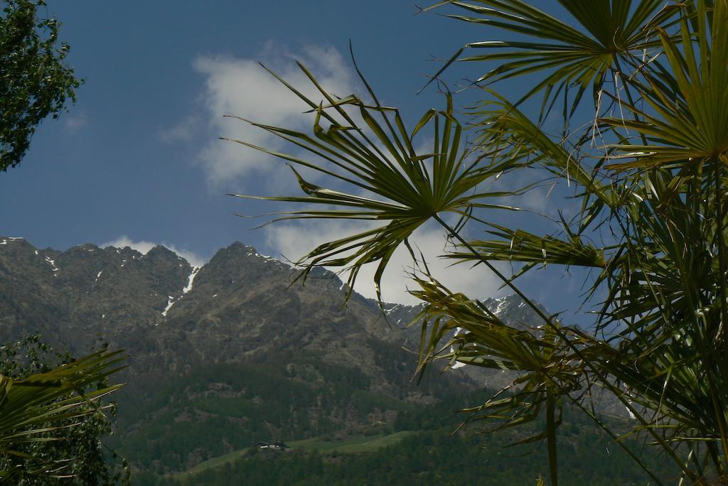 Alpina Residence Naturns Bagian luar foto