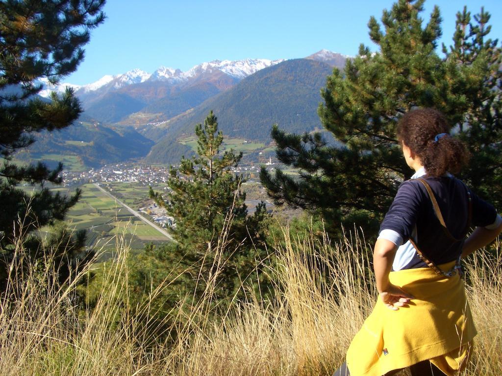 Alpina Residence Naturns Bagian luar foto